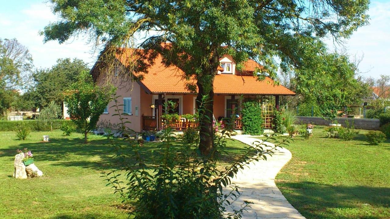 Villa Tinov Dvor Brisevo المظهر الخارجي الصورة