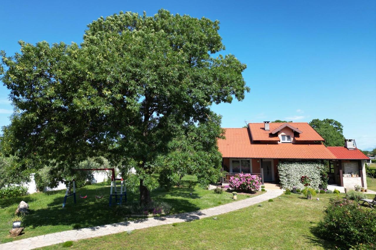Villa Tinov Dvor Brisevo المظهر الخارجي الصورة